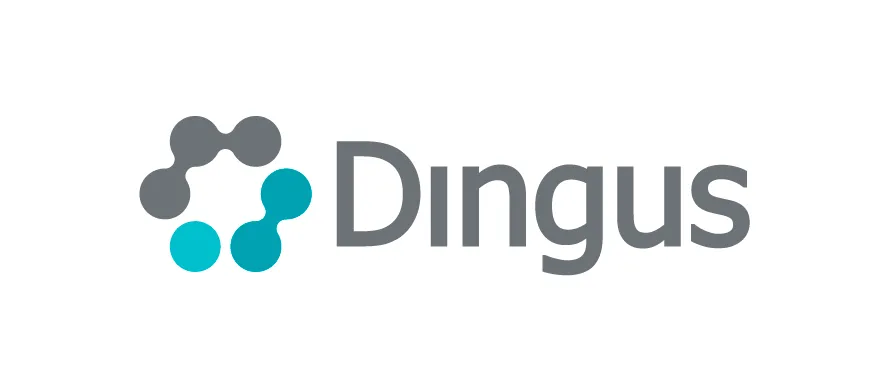 Dingus